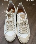 Nieuwe sneakers, Wit, Nieuw, Ophalen of Verzenden, Sneakers of Gympen