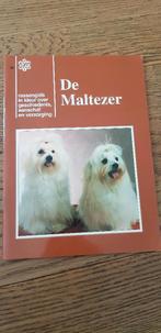 De Maltezer, rassengids, nieuw!!, Ophalen of Verzenden, Nieuw, Honden