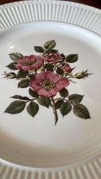 Wedgwood BRIAR ROSE dinerbord, Ophalen of Verzenden, Zo goed als nieuw, Bord(en), Wedgwood