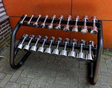 Technogym Chrome Dumbells 1kg t/m 10kg + Technogym Opbergrek beschikbaar voor biedingen