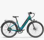 fiido c11 e bike GESTOLEN !!, Fietsen en Brommers, Ophalen, Overige merken