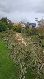Brandhout Dennen, Tuin en Terras, 3 tot 6 m³, Ophalen of Verzenden, Overige houtsoorten, Stammen