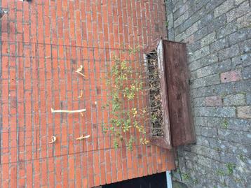 Twee houten plantenbakken beschikbaar voor biedingen