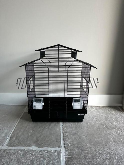 Vogelkooi voor parkiet, Dieren en Toebehoren, Vogels | Hokken en Kooien, Vogelkooi, Metaal, Ophalen