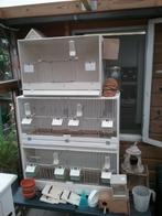 Vogel kooien en benodigheden, Ophalen, Zo goed als nieuw, Kooi-accessoires