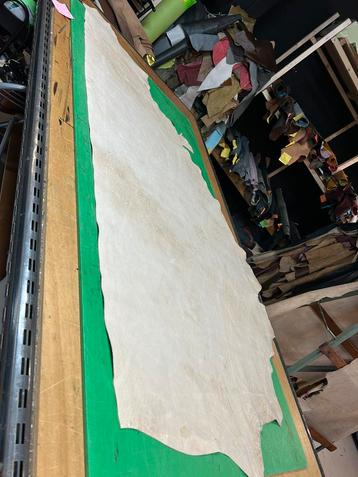 Naturel kleur halve huid 1,5 mm dikte soepel en glad A-509 beschikbaar voor biedingen