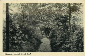 (387-166-037) Nunspeet Fietspad in het Bosch beschikbaar voor biedingen