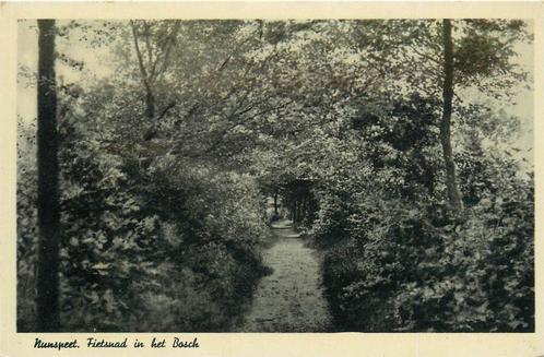 (387-166-037) Nunspeet Fietspad in het Bosch, Verzamelen, Ansichtkaarten | Nederland, Gelderland, Verzenden