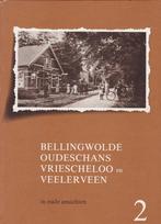 Bellingwolde, Oudeschans, Vriescheloo en Veelerveen, Boeken, Geschiedenis | Stad en Regio, Ophalen of Verzenden, 20e eeuw of later