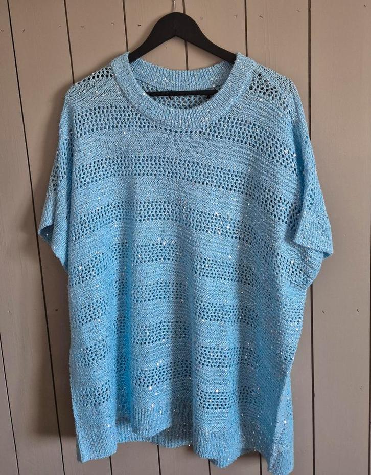 truitje  met glitter mooie blauwe, Kleding | Dames, Truien en Vesten, Zo goed als nieuw, Blauw, Ophalen of Verzenden