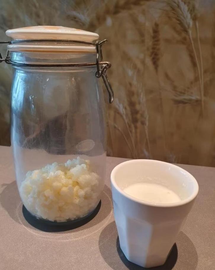 Supergezonde Melkkefir, Diversen, Levensmiddelen, Ophalen