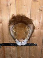 Leuke decoratieve leeuwenkop, Ophalen, Zo goed als nieuw