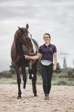 Paardrijles & grondwerk - instructie/training (gediplomeerd), Diensten en Vakmensen, Dieren | Paarden | Verzorging, Oppas en Les