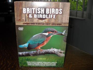 3 DVD BOX BRITISH BIRDS & BIRDLIFE. beschikbaar voor biedingen