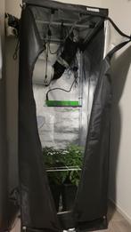 Homelab 80x80x180 kweektent, Ophalen of Verzenden, Zo goed als nieuw