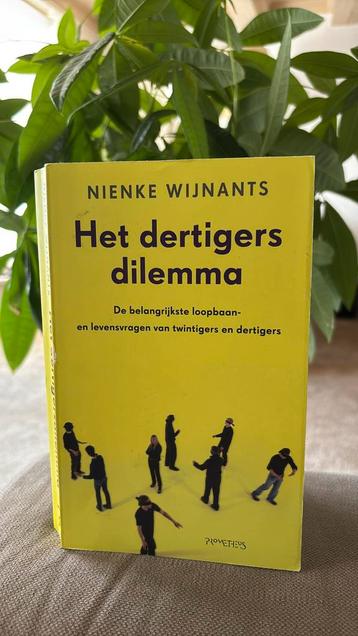 Nienke Wijnants - Dertigersdilemma beschikbaar voor biedingen