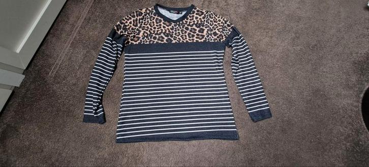 Musthaves Truitje maat M/L, Kleding | Dames, Truien en Vesten, Gedragen, Maat 38/40 (M), Overige kleuren, Ophalen of Verzenden