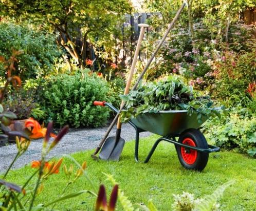 Tuinman, Tuin en Terras, Overige Tuin en Terras, Nieuw, Ophalen