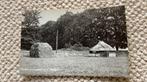 Ansichtkaart Twello Schaapskooi op ‘t Holthuis 938, Ophalen of Verzenden, 1940 tot 1960, Ongelopen, Gelderland