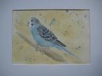 Aquarel blauwe parkiet (30 x 40 cm.), Ophalen, Minder dan 50 cm, Oorspronkelijke maker, Nieuw
