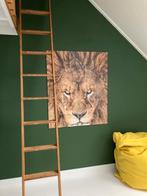 Ixxi Leeuw, Ophalen of Verzenden, Zo goed als nieuw, 75 tot 100 cm, Foto of Poster