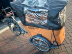 Babboe E-Curve Bakfiets - Elektrisch, Fietsen en Brommers, Fietsen | Bakfietsen, Gebruikt, 3 kinderen, Elektrisch, Ophalen