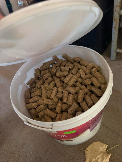 Horse Snacks, Dieren en Toebehoren, Dierenvoeding, Vee, Ophalen of Verzenden