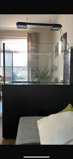 Aqualife peninsula aquarium 120x65x65 compleet, Dieren en Toebehoren, Vissen | Aquaria en Toebehoren, Ophalen, Gebruikt