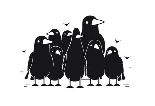 camper caravan auto sticker grappige vogels, Caravans en Kamperen, Camper-accessoires, Nieuw, Ophalen of Verzenden