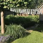 Tuinslinger lintjesslinger tasselslinger - zelf samenstellen, Ophalen of Verzenden, Nieuw