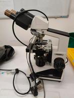 Oude, werkende Novex microscoop, Ophalen of Verzenden, Gebruikt, 400x tot 1000x, Biologische microscoop