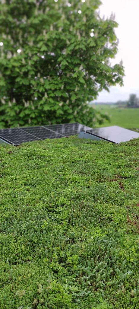 Groendak- en dakherstelbedrijf ter overname regio Friesland, Zakelijke goederen, Exploitaties en Overnames