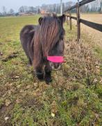 Weidemaatje, Januari, Geslacht onbekend