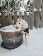 Palomino hobbyhorse, Hobby en Vrije tijd, Overige Hobby en Vrije tijd, Ophalen of Verzenden, Zo goed als nieuw