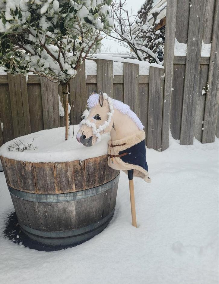 Palomino hobbyhorse, Hobby en Vrije tijd, Overige Hobby en Vrije tijd, Zo goed als nieuw, Ophalen of Verzenden