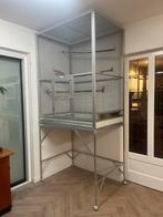 Vogelkooi, Dieren en Toebehoren, Vogels | Parkieten en Papegaaien, Mannelijk, Papegaai