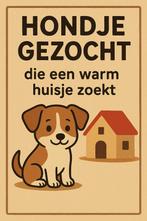kleine maat hondje gezocht, Overige rassen, 1 tot 2 jaar, Meerdere, Meerdere dieren