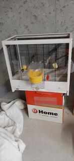 Vogelkooi, Dieren en Toebehoren, Ophalen, Zo goed als nieuw, Hout, Vogelkooi