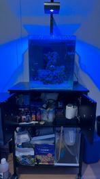 Blue Marine Reef 60 - Compleet Zeeaquarium, Dieren en Toebehoren, Ophalen, Zo goed als nieuw, Gevuld zeewateraquarium