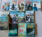 Boeken van Joh. G. Veenhof, Boeken, Oorlog en Militair, Ophalen, Gelezen
