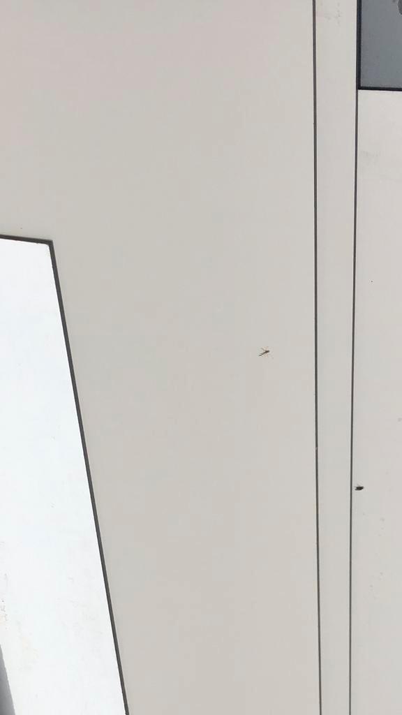 Trespa Betonplex Platen, Doe-het-zelf en Verbouw, Platen en Panelen, Gebruikt, HPL, Minder dan 20 mm, Ophalen