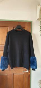 Aparte warme trui, Kleding | Dames, Maat 42/44 (L), Ophalen of Verzenden, Zo goed als nieuw, Zara