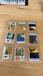 Panini wk 74, Ophalen of Verzenden, Sticker