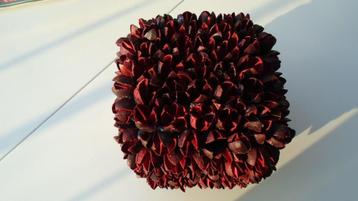 KUBUS NATUURLIJKE MATERIALEN DKR ROOD Partij 12 stuks beschikbaar voor biedingen