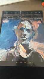 Kolb & Whislaw - Fundamentals of human neuropsychology, Ophalen of Verzenden, Zo goed als nieuw