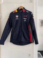 Dames F1 Red Bull jas, Ophalen of Verzenden, Zo goed als nieuw