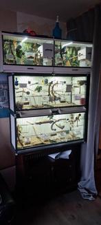 4 x mooie luxe vogelkooi, Ophalen, Gebruikt, Aluminium, Vogelkooi