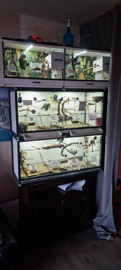 4 x mooie luxe vogelkooi, Dieren en Toebehoren, Vogels | Hokken en Kooien, Gebruikt, Vogelkooi, Aluminium, Ophalen