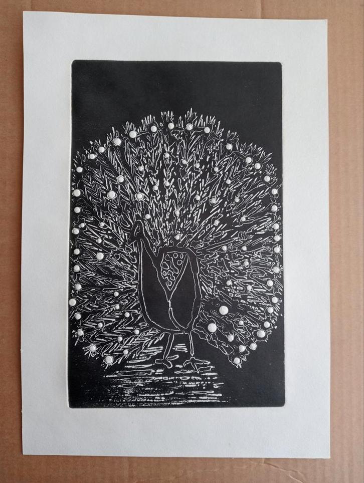 Nico Geel - Pauw Ets Bewerkt met Verf, Antiek en Kunst, Kunst | Etsen en Gravures, Ophalen of Verzenden