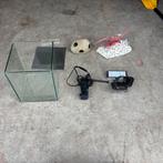 Vissenkom, Dieren en Toebehoren, Vissen | Aquaria en Toebehoren, Ophalen, Zo goed als nieuw